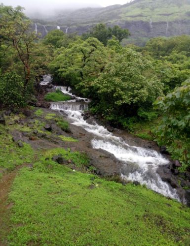 A Retreat To Your Soul And Eyes: Raanjan Hills Resort, Mulshi