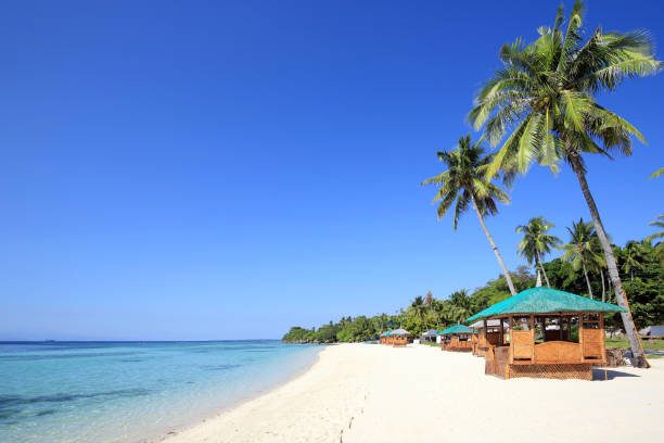 Take a trip to Cebu